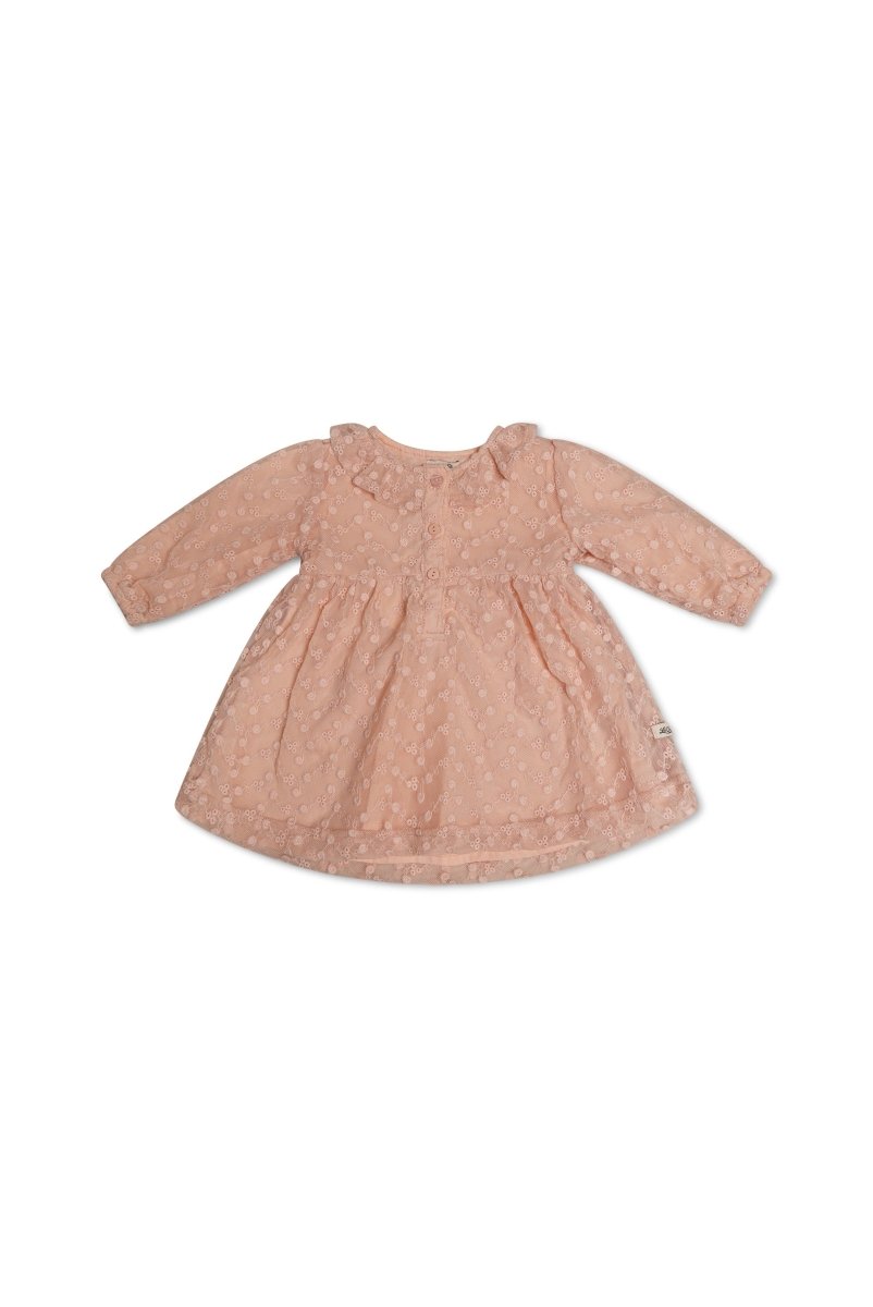 SIMSY lace baby dress - Le Chic Fashion