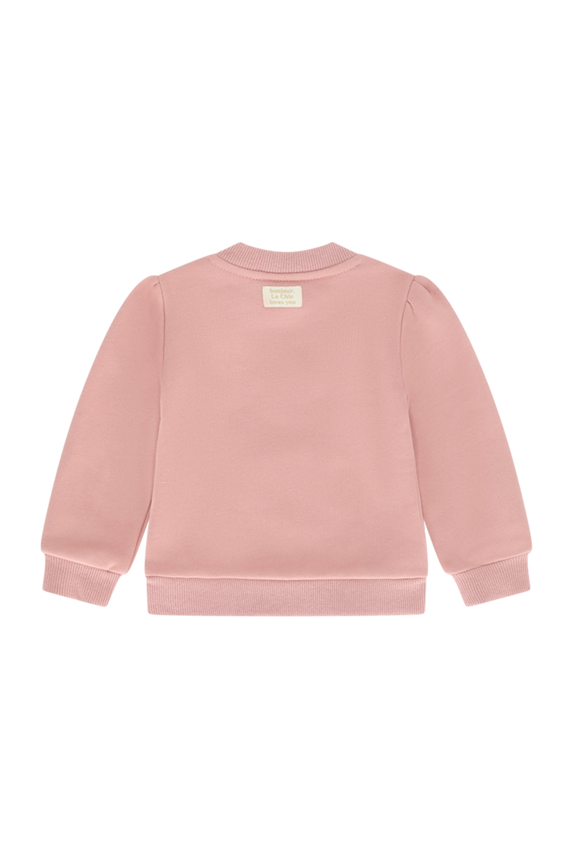♥ ODETTY ♥ vlinder sweater *Roze*