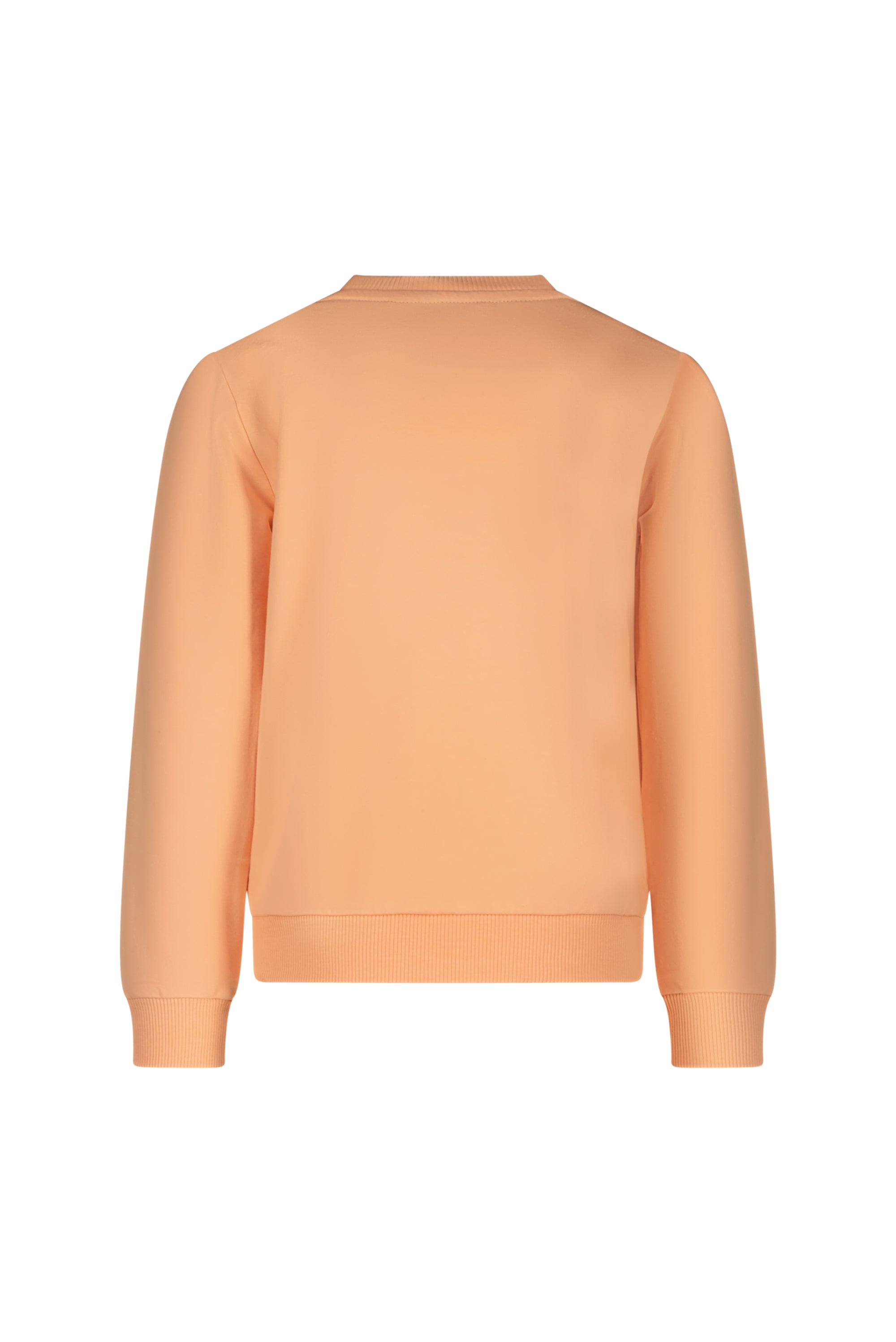 ♦ OLIVER ♦ sauver l'ocean sweater