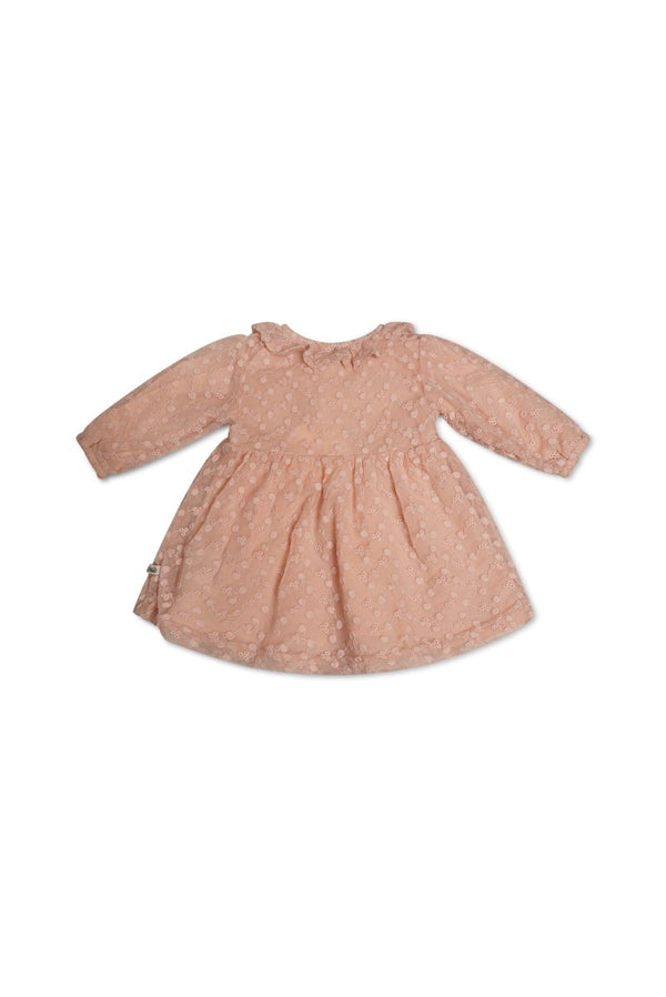 SIMSY lace baby dress - Le Chic Fashion