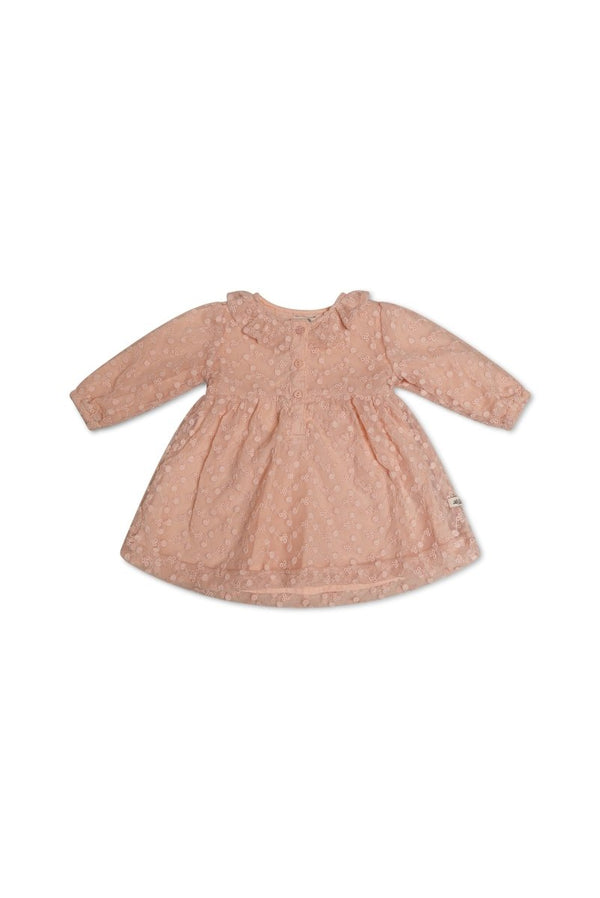 SIMSY lace baby dress - Le Chic Fashion